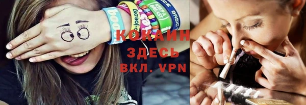 МДПВ Нея