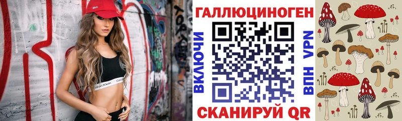 omg вход  Тюкалинск  Галлюциногенные грибы Cubensis 